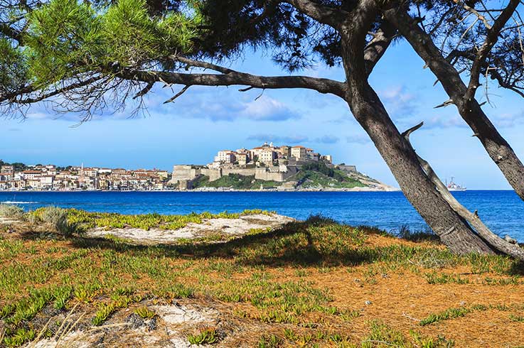 Campsite Corsica Calvi Northern Corsica Ile Rousse