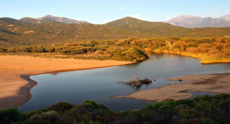Corsican camping landscape