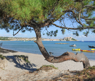 camping corse situé en bord de mer