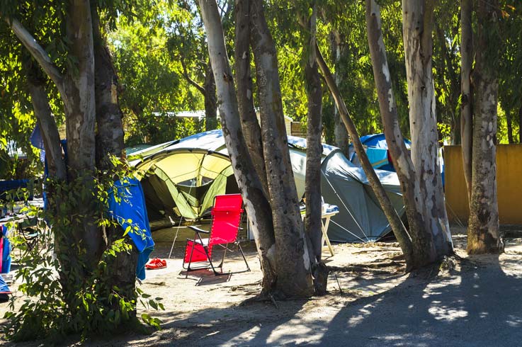 emplacement avec arbre Campsite Castors