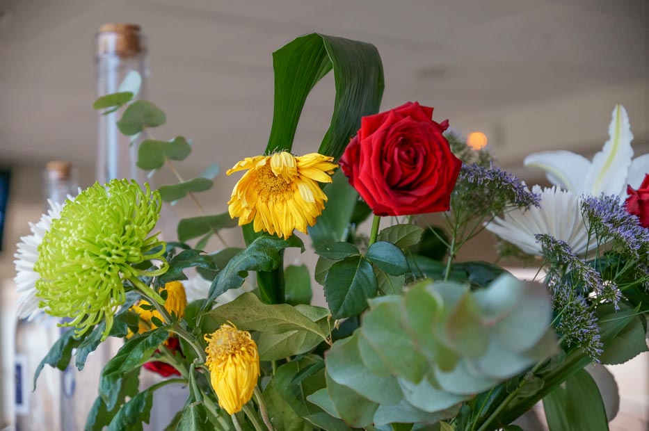 flowers camping Castors