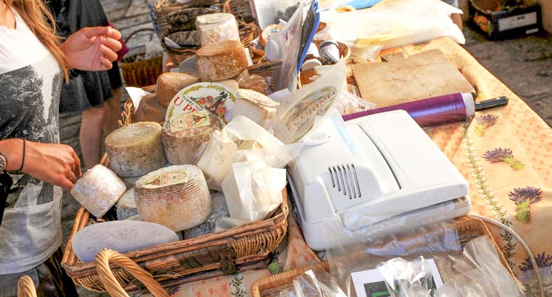 camping beaver cultural activities