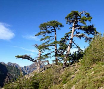 paysage calenzana près camping Corse
