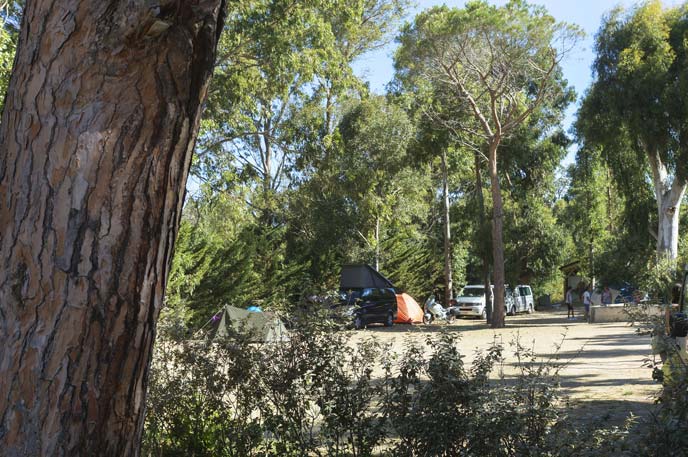 swimming pool at Camping Castors