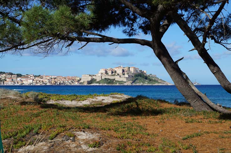 view of houses calvi Camping Les Castors